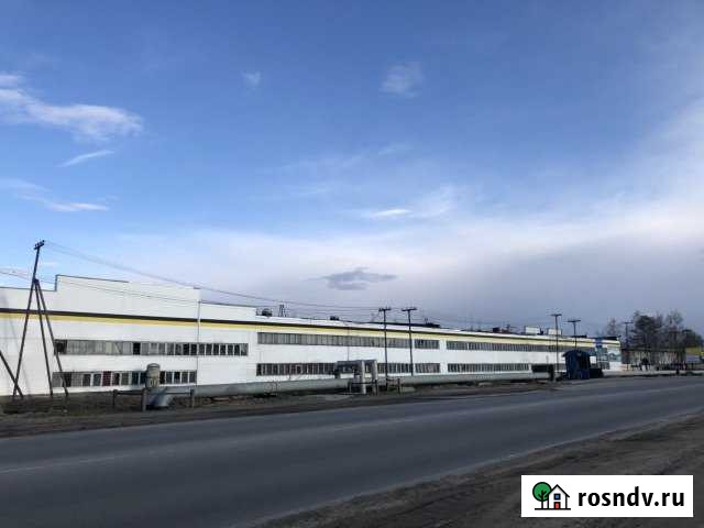 Аренда торговых, складских, производственных помещ Нефтеюганск - изображение 1