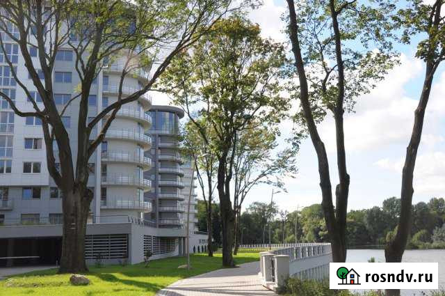 Офисное помещение, 49 кв.м. Калининград - изображение 1