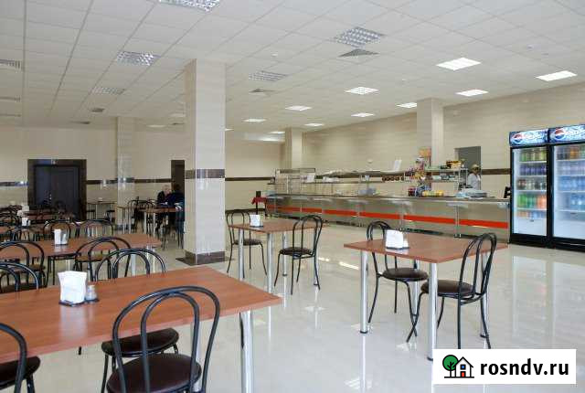 Помещение общественного питания, 300 кв.м. Ногинск - изображение 1