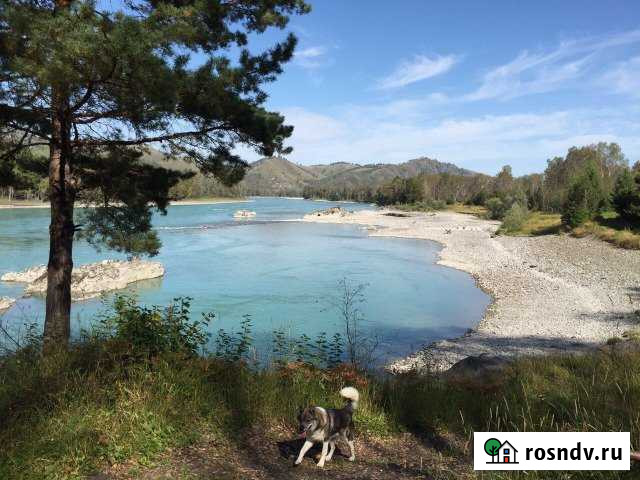 Участок СНТ, ДНП 10 сот. на продажу в Горно-Алтайске Горно-Алтайск - изображение 1