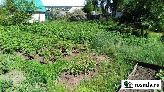 Участок СНТ, ДНП 4 сот. на продажу в Барнауле Барнаул - изображение 1