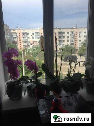 3-комнатная квартира, 70 м², 3/5 эт. на продажу в Феодосии Феодосия - изображение 1