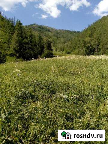 Участок СНТ, ДНП 100 сот. на продажу в Горно-Алтайске Горно-Алтайск - изображение 1