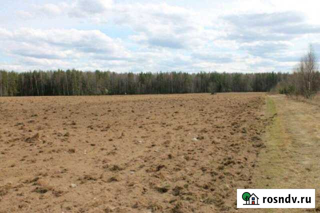 Участок СНТ, ДНП 525 сот. на продажу в Торжке Торжок - изображение 1