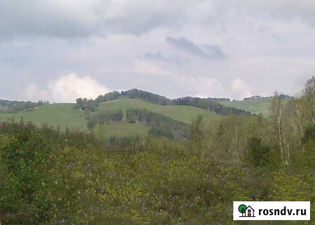 Участок СНТ, ДНП 2720 сот. на продажу в Алтайском Алтайское - изображение 1