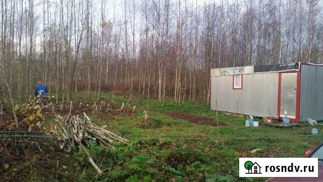 Участок ИЖС 25 сот. на продажу в Толмачево Ленинградской области Толмачево - изображение 1