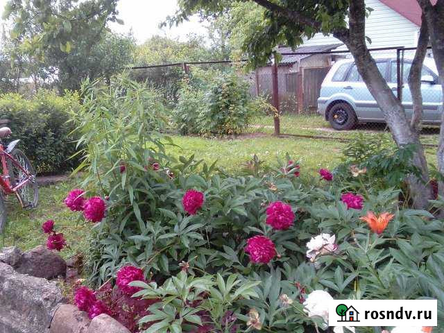 Участок СНТ, ДНП 6 сот. на продажу в Больших Колпанах Большие Колпаны - изображение 1