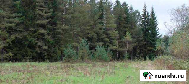 Участок СНТ, ДНП 12 сот. на продажу во Всеволожске Всеволожск - изображение 1