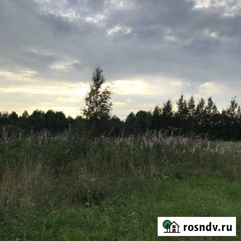 Участок СНТ, ДНП 11 сот. на продажу в Старой Руссе Старая Русса - изображение 1