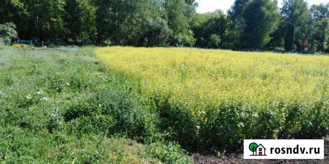 Участок СНТ, ДНП 20 сот. на продажу в Черницыно Черницыно - изображение 1