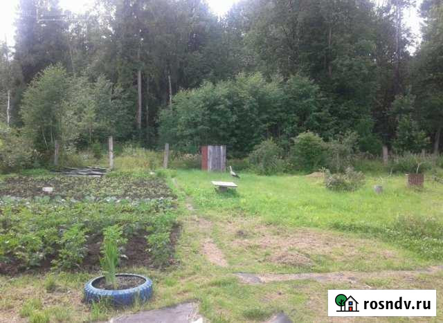 Участок СНТ, ДНП 6 сот. на продажу в Сланцах Сланцы - изображение 1