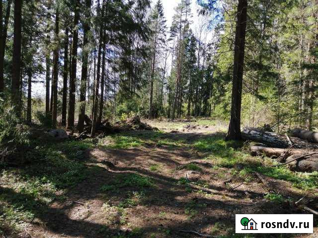 Участок СНТ, ДНП 20 сот. на продажу в Выборге Выборг - изображение 1