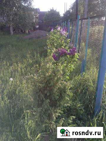 Участок ИЖС 25 сот. на продажу в Карабаново Карабаново - изображение 1