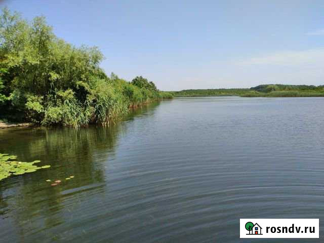 Участок ИЖС 200 сот. на продажу в Северской Северская - изображение 1