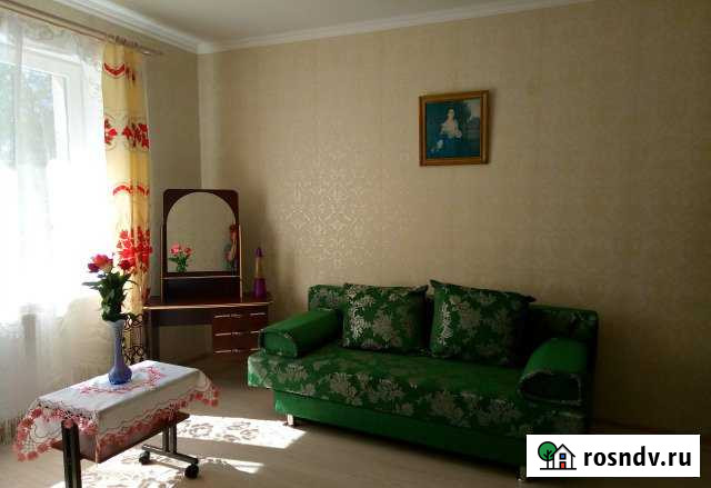 1-комнатная квартира, 42 м², 1/8 эт. в аренду посуточно в Зеленоградске Зеленоградск - изображение 1