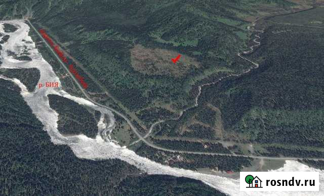 Участок ИЖС 10 сот. на продажу в Турочаке Турочак - изображение 1