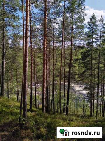 Участок СНТ, ДНП 10 сот. на продажу в Мурманске Мурманск - изображение 1