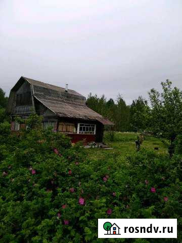 Участок СНТ, ДНП 9 сот. на продажу в Выборге Выборг - изображение 1