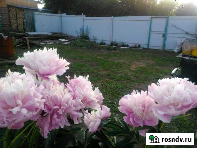 Дача 20 м² на участке 6 сот. на продажу в Полевском Полевской - изображение 1