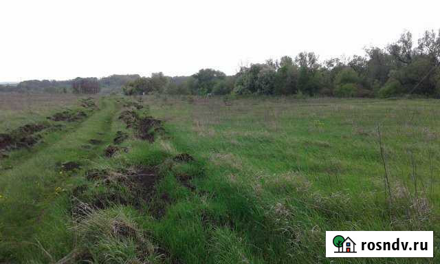 Участок ИЖС 35 сот. на продажу в Короче Короча - изображение 1