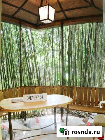 Дом 35 м² на участке 1 сот. в аренду посуточно в Алупке Алупка - изображение 1