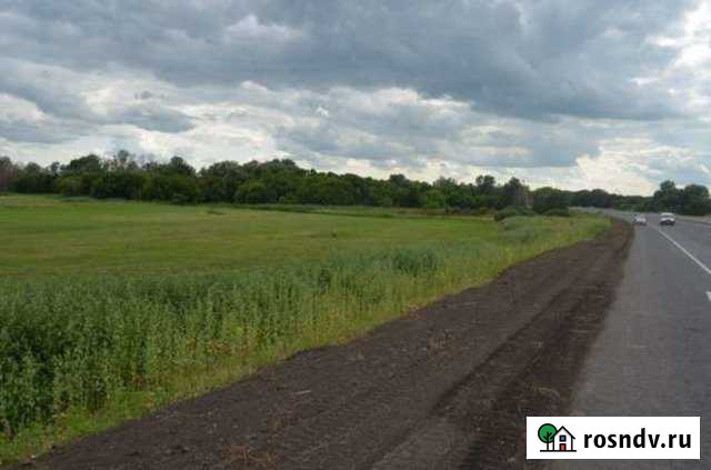 Участок СНТ, ДНП 500 сот. в аренду в Пестрецах Пестрецы - изображение 1