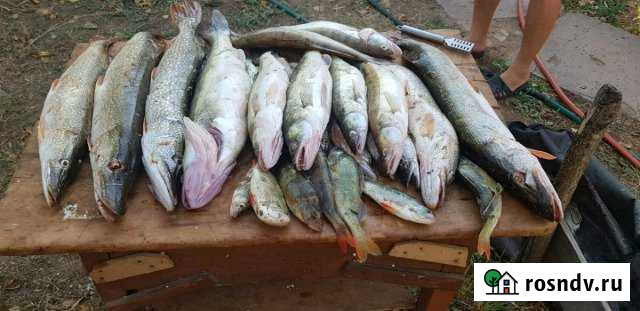 Дом 80 м² на участке 9 сот. в аренду посуточно в Нариманове Нариманов - изображение 1