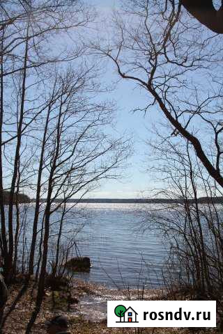 Участок СНТ, ДНП 10 сот. на продажу в Саперном Саперное - изображение 1