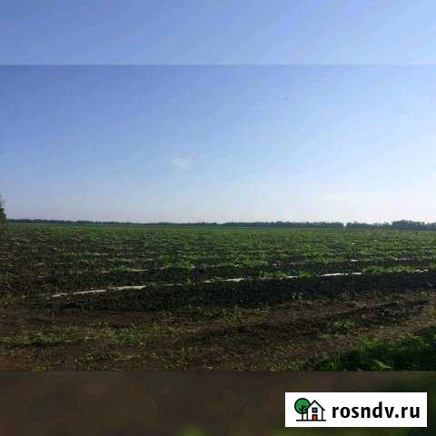 Участок СНТ, ДНП 500 сот. на продажу в Белоярском Свердловской области Белоярский - изображение 1