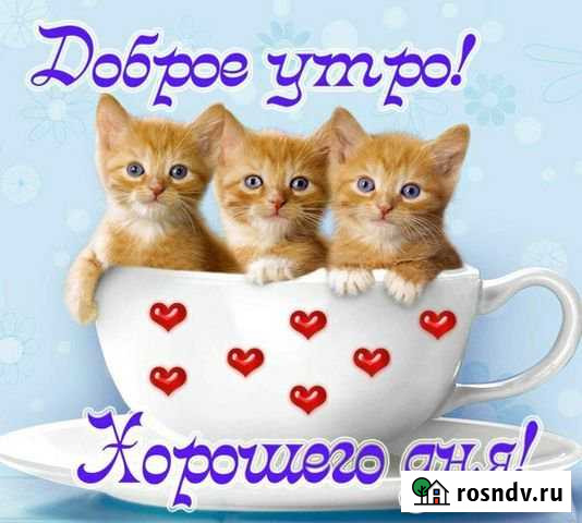 Сдаю в аренду помещение Красный Яр - изображение 1