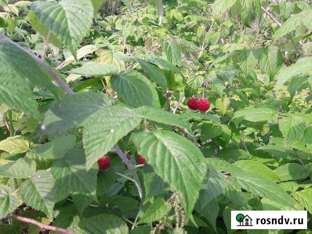 Участок ИЖС 11 сот. на продажу в Поварово Поварово - изображение 1