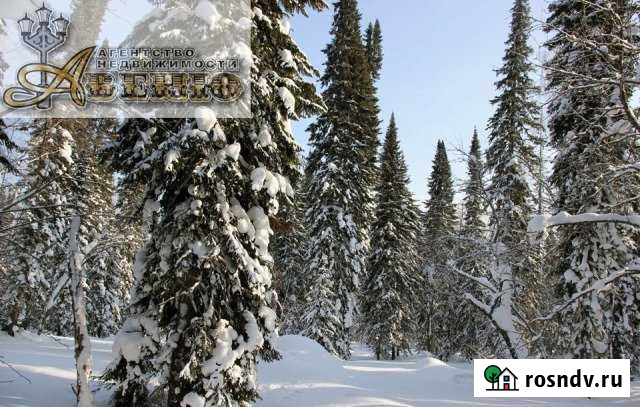 Участок ИЖС 12 сот. на продажу в Шерегеше Шерегеш - изображение 1