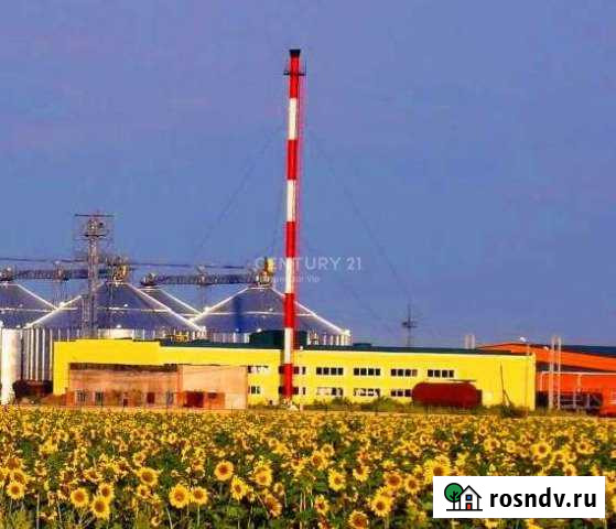Маслозавод 200 т в сутки, 11 Га Динская - изображение 1
