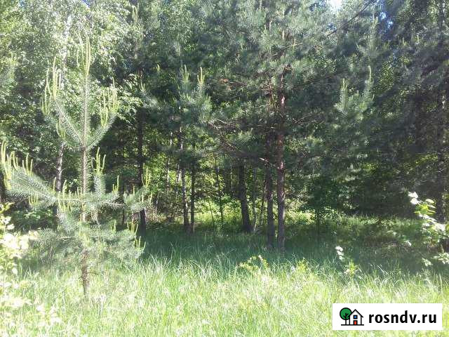 Участок ИЖС 30 сот. на продажу в Добром Доброе - изображение 1