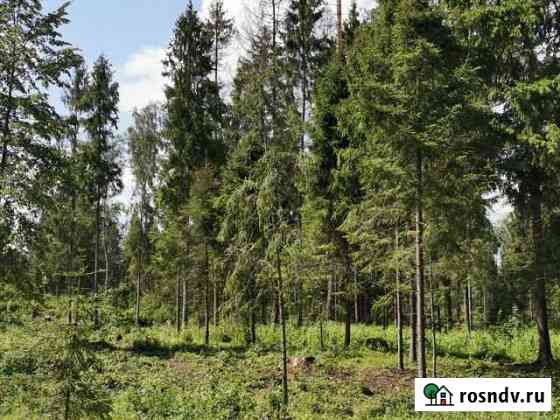 Участок ИЖС 170 сот. на продажу в Горках-10  Горки-10