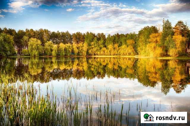 Участок ИЖС 20 сот. на продажу на Лугах Луга - изображение 1