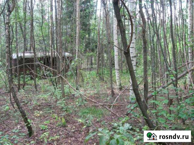 Участок ИЖС 10 сот. на продажу в Семенове Семенов - изображение 1