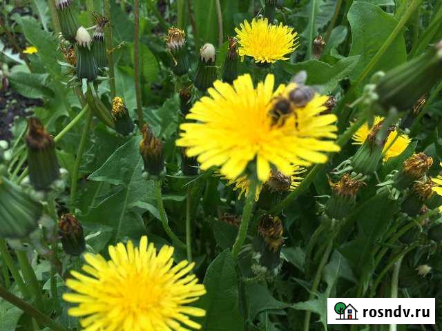 Дом 77 м² на участке 6 сот. на продажу в Хохле Хохол - изображение 1