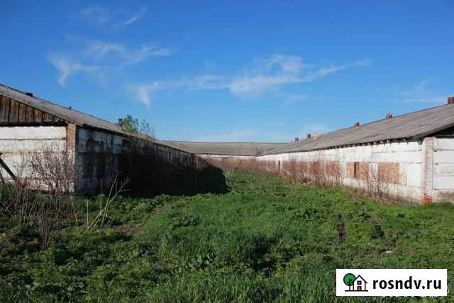 Свиноферма Плотниково - изображение 1