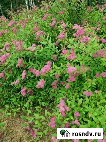 Дом 100 м² на участке 7 сот. на продажу в Чертково Чертково - изображение 1