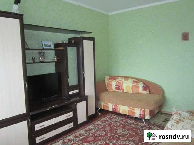 1-комнатная квартира, 23 м², 1/2 эт. на продажу в Зональном Зональное - изображение 1