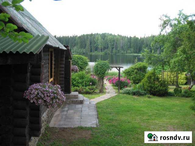 Дом 50 м² на участке 15 сот. в аренду посуточно в Валдае Валдай - изображение 1