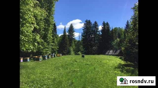 Дом 49 м² на участке 100 сот. на продажу в Шемордане Шемордан - изображение 1