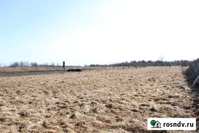 Участок ИЖС 17 сот. на продажу в Большом Селе Большое Село - изображение 1