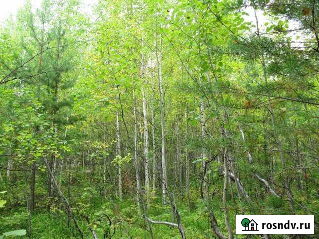 Участок СНТ, ДНП 10 сот. на продажу в Мурманске Мурманск - изображение 1