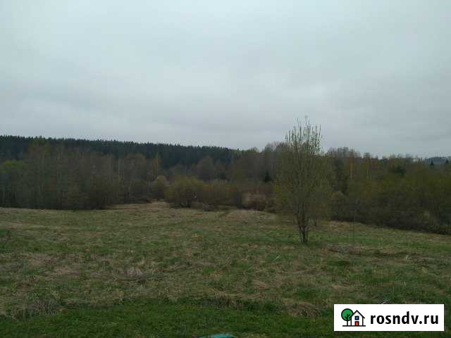 Участок СНТ, ДНП 21 сот. на продажу в Каменногорске Каменногорск - изображение 1