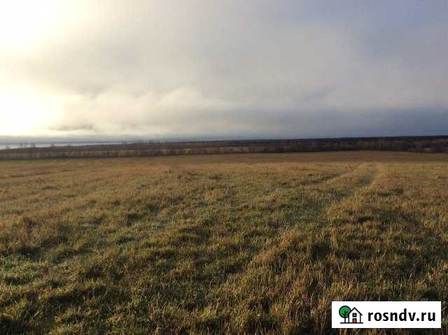 Участок СНТ, ДНП 75340 сот. на продажу в Липином Бору Липин Бор - изображение 1