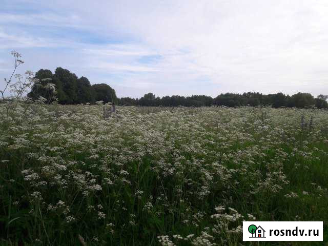 Участок СНТ, ДНП 1881 сот. на продажу в Янтарном Янтарный - изображение 1