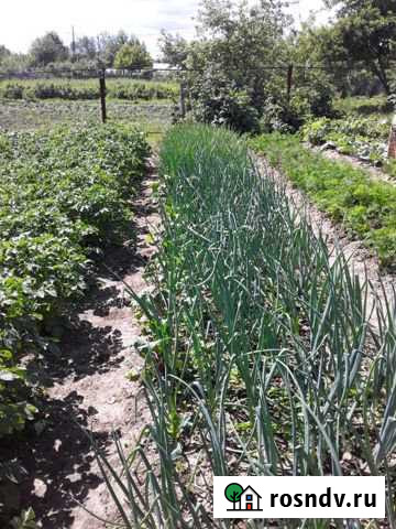 Дача 20 м² на участке 6 сот. на продажу в Йошкар-Оле Йошкар-Ола - изображение 1