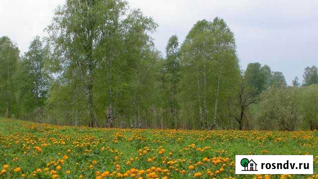 Участок ИЖС 100 сот. на продажу в Волово Тульской области Волово - изображение 1